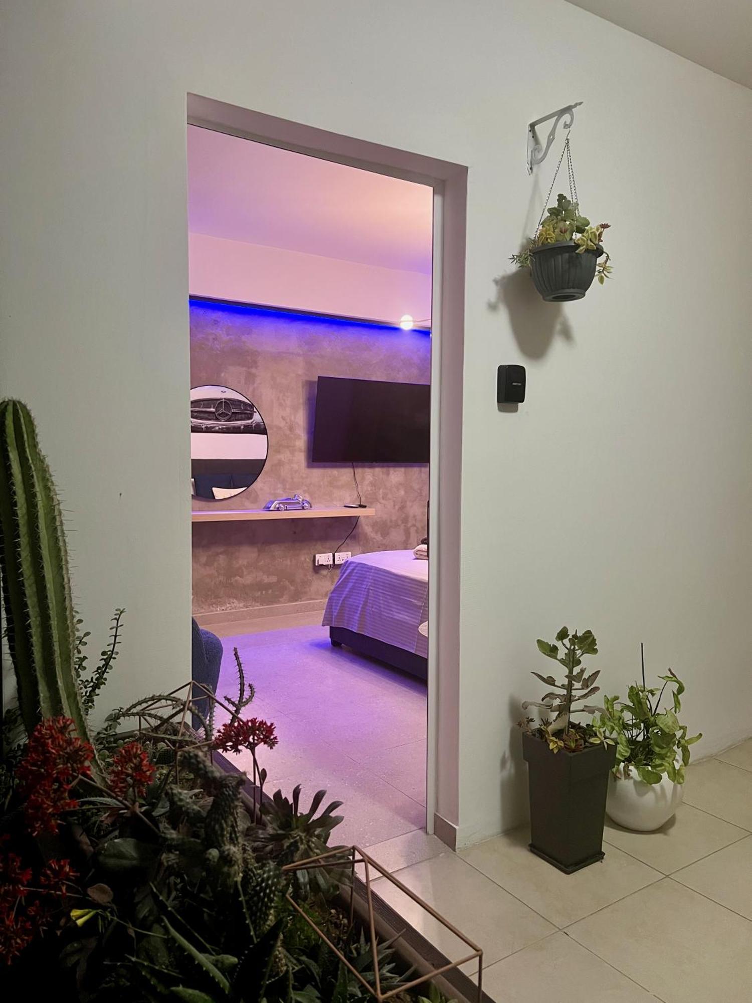 Fat Cow Apartments لارنكا المظهر الخارجي الصورة